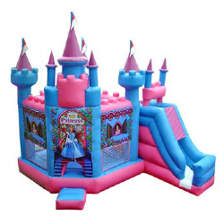Princess Dream Castle Combo